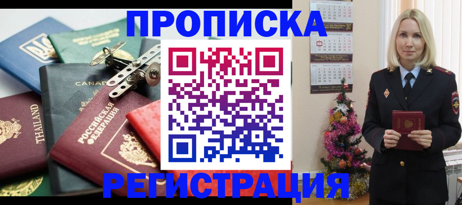 прописка в Курске